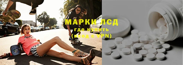 индика Володарск