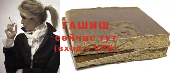 индика Володарск