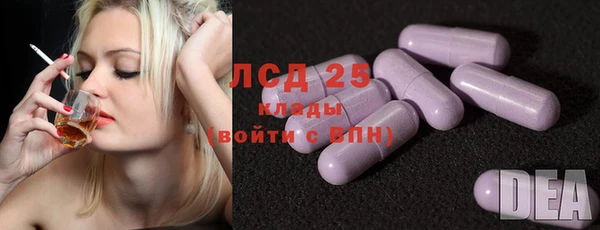 индика Володарск