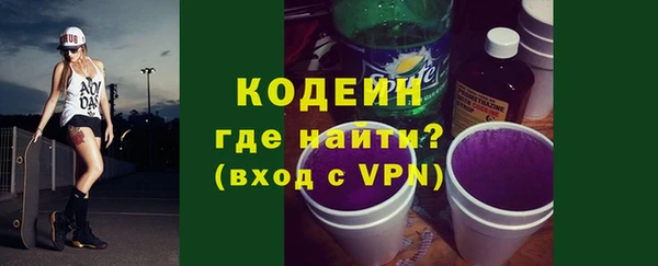 индика Володарск
