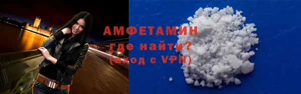 индика Володарск