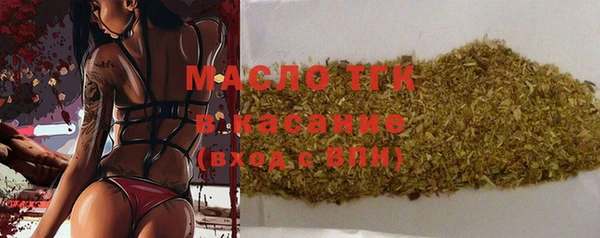 индика Володарск