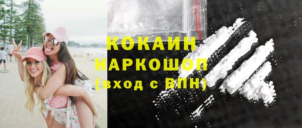 индика Володарск