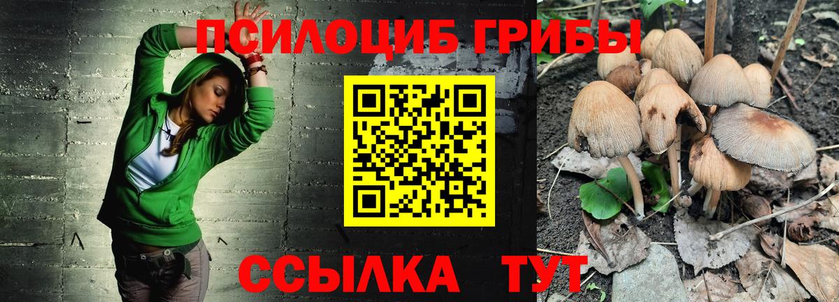 Псилоцибиновые грибы ЛСД  Псилоцибиновые грибы Psilocybe  Елец  Вход с VPN 