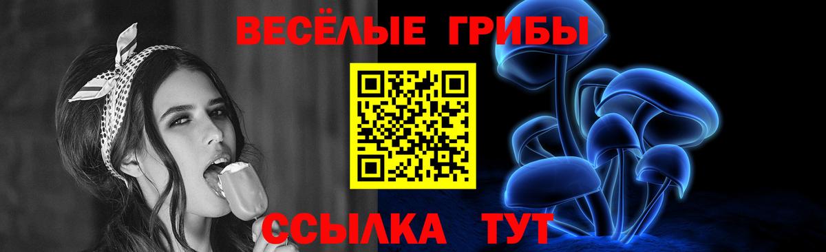 Галлюциногенные грибы Cubensis Елец