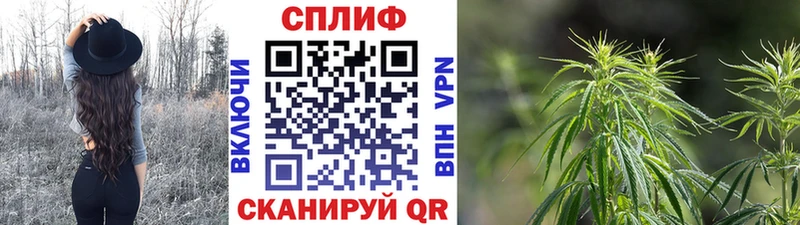 Конопля планчик  продажа наркотиков  Елец 